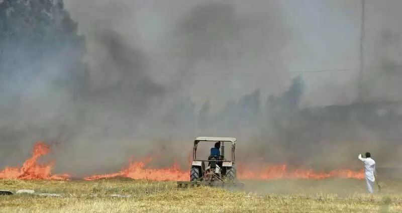 State में बुधवार को 57 घटनाएं दर्ज की गईं, चक्रवात दाना का प्रभाव नगण्य