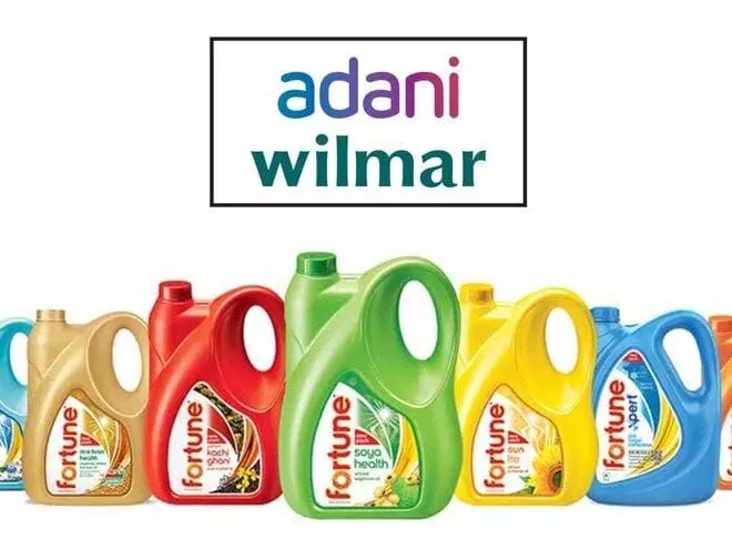 Adani Wilmar शेयर 0.19% ऊपर