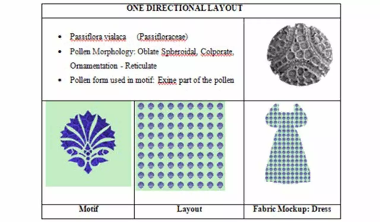 Osmania University ने ‘पराग आकृति विज्ञान’ का उपयोग करके वस्त्र रूपांकनों का निर्माण किया