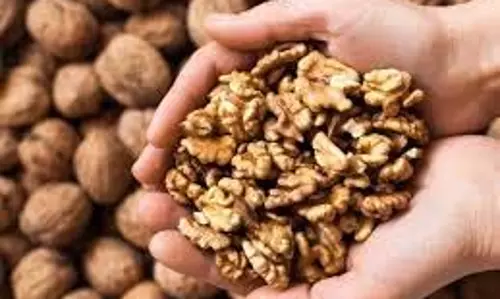 Health: कोलेस्ट्रॉल और BP समेत कई समस्याओं का रामबाण इलाज है ये ड्राई फ्रूट Health: कोलेस्ट्रॉल और BP समेत कई समस्याओं का रामबाण इलाज है ये ड्राई फ्रूट
