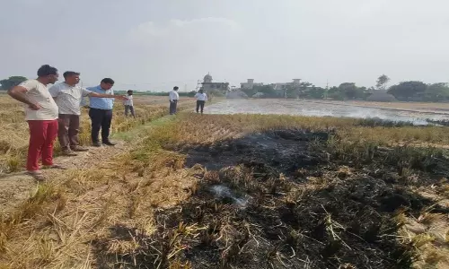 कुरुक्षेत्र में पराली जलाने के आरोप में 24 किसान गिरफ्तार कुरुक्षेत्र में पराली जलाने के आरोप में 24 किसान गिरफ्तार