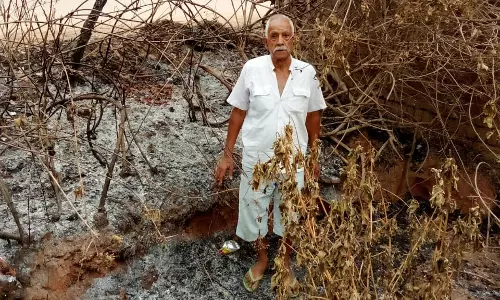 भू-माफिया का आतंक, जमीन हथियाने बुजुर्ग की बाड़ी में लगाई आग