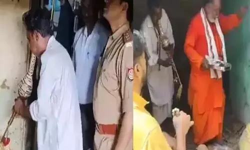 पांच लोगों को डसा: नागिन ले रही बदला...तड़प तड़पकर हुई मौत