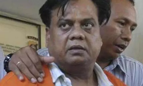 बॉम्बे हाईकोर्ट ने होटल व्यवसायी हत्या मामले में छोटा राजन को जमानत दी बॉम्बे हाईकोर्ट ने होटल व्यवसायी हत्या मामले में छोटा राजन को जमानत दी