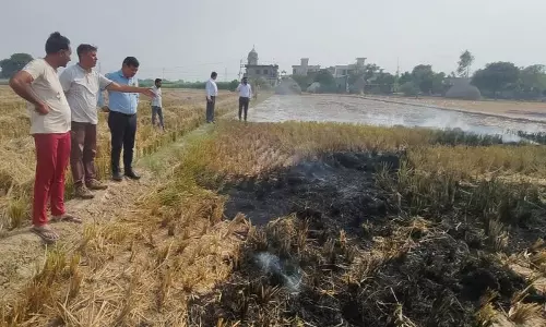 Haryana : कुरुक्षेत्र में पराली जलाने के आरोप में 24 किसान गिरफ्तार