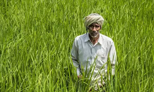 Baharagora: दाना तूफान सक्रिय होने से किसान चिंतित