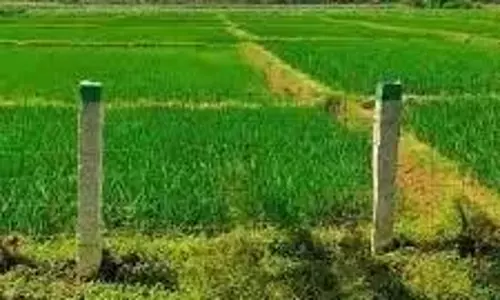 Telangana: कृषि विस्तार अधिकारियों ने हड़ताल का आह्वान किया Telangana: कृषि विस्तार अधिकारियों ने हड़ताल का आह्वान किया