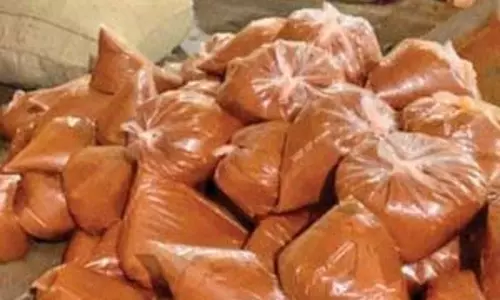 Gujarat: 700 किलोग्राम मिलावटी मिर्च पाउडर जब्त