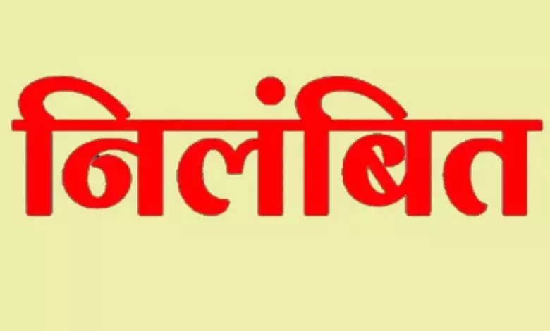 पटवारी ने सीमांकन कार्य में बरती कोताही, सस्पेंड