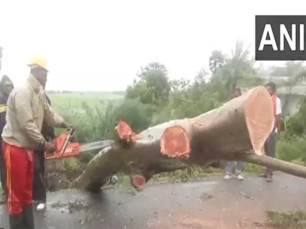 Cyclone Dana: भद्रक में बहाली और राहत कार्य शुरू