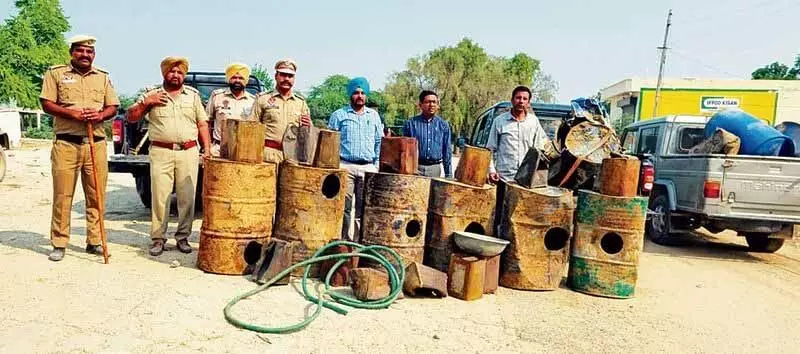 Punjab: 25 हजार लीटर लाहन जब्त कर नष्ट किया गया