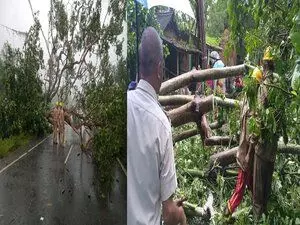 चक्रवात दाना के बाद: Odisha में राहत और बचाव कार्य युद्धस्तर पर जारी