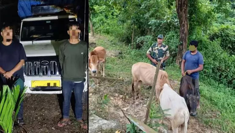 Meghalaya : बीएसएफ ने तस्करी की कोशिश नाकाम की