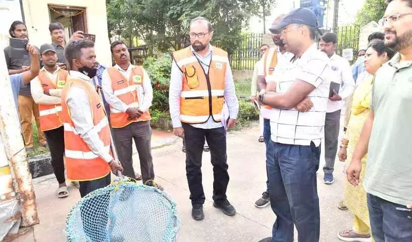 Hyderabad: आवारा कुत्तों के खतरे को रोकने के लिए सामूहिक नसबंदी का आदेश दिया