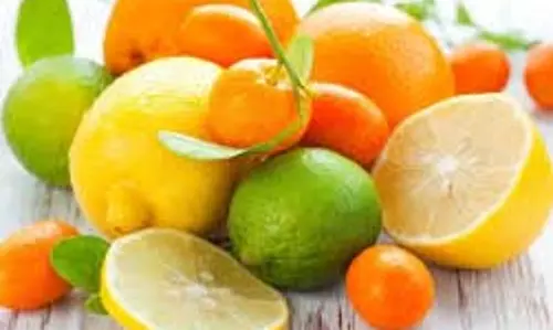 Best Foods: बदलते मौसम में वायरल बीमारियों से बचना चाहते हैं तो खाएं ये  फूड्स