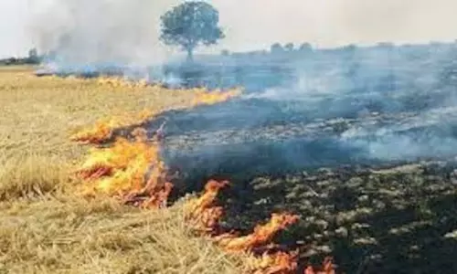 कुरुक्षेत्र में पराली जलाने वाले किसानों के खिलाफ होगी कड़ी कार्रवाई, कृषि विभाग का सख्त आदेश कुरुक्षेत्र में पराली जलाने वाले किसानों के खिलाफ होगी कड़ी कार्रवाई, कृषि विभाग का सख्त आदेश