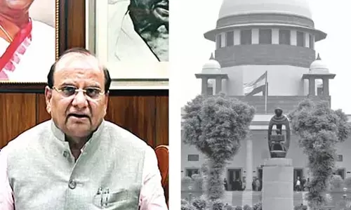 दिल्ली के उपराज्यपाल को पेड़ काटे जाने की जानकारी कब मिली: Supreme Court said