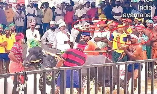 पेटा इंडिया की आपत्तियों पर सुनवाई होने तक बेंगलुरु में कंबाला नहीं होगा: says HC पेटा इंडिया की आपत्तियों पर सुनवाई होने तक बेंगलुरु में कंबाला नहीं होगा: says HC