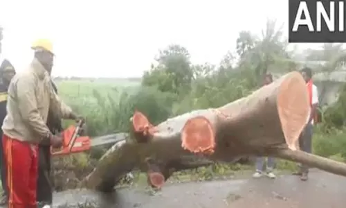 Cyclone Dana: भद्रक में बहाली और राहत कार्य शुरू