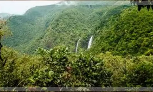 GOA: सरकार ने वन्यजीव एवं वन सलाहकार पैनल की स्थापना की