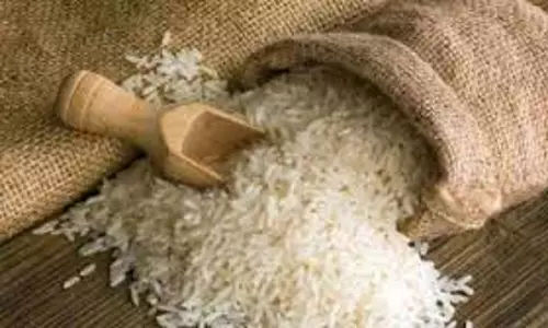 सरकार ने चावल निर्यात पर प्रतिबंध हटाया सरकार ने चावल निर्यात पर प्रतिबंध हटाया