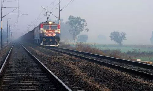 Haryana :  ट्रेन की चपेट में आने से चरवाहे और 40 बकरियों की मौत