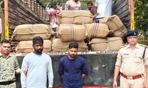मालवाहक से 62 लाख का गांजा जब्त, CG में पकड़े गए UP के तस्कर मालवाहक से 62 लाख का गांजा जब्त, CG में पकड़े गए UP के तस्कर