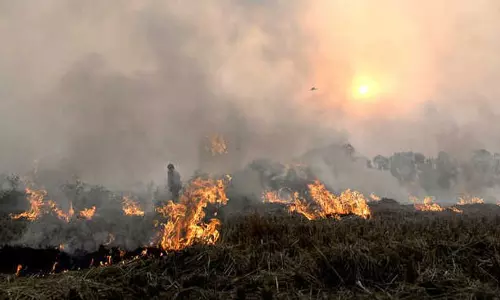 Haryana : हिसार में पराली जलाने पर किसानों के खिलाफ 12 एफआईआर दर्ज Haryana : हिसार में पराली जलाने पर किसानों के खिलाफ 12 एफआईआर दर्ज