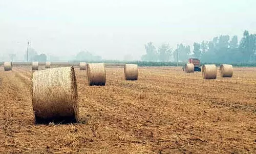 Haryana :  किसानों का कहना है कि पराली प्रबंधन के लिए पर्याप्त मशीनें नहीं