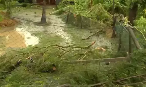 Odisha: केंद्रपाड़ा में चक्रवात आश्रय में बुजुर्ग महिला की मौत Odisha: केंद्रपाड़ा में चक्रवात आश्रय में बुजुर्ग महिला की मौत