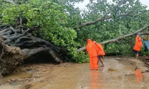 चक्रवात Dana की लैंडफॉल प्रक्रिया पूरी हुई, गंभीर चक्रवाती तूफान कमजोर होकर चक्रवाती तूफान में तब्दील