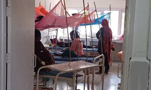 Haryana :  सिरसा जिले में डेंगू के मामले बढ़े, स्वास्थ्य विभाग सतर्क