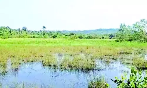 कुडने की खस्ताहाल जीवनरेखा ने CM के निर्वाचन क्षेत्र के किसानों को मुसीबत में डाल दिया