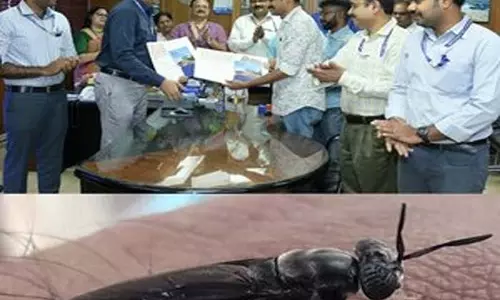 CMFRI ने ब्लैक सोल्जर फ्लाई लार्वा का उपयोग करके पर्यावरण के अनुकूल मछली फ़ीड विकसित की