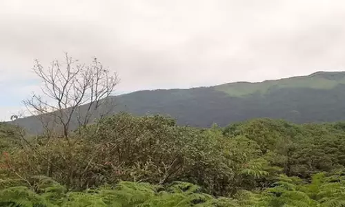 Manipur : हेइबोक चिंग को मिलेगा रिजर्व फॉरेस्ट का दर्जा Manipur : हेइबोक चिंग को मिलेगा रिजर्व फॉरेस्ट का दर्जा