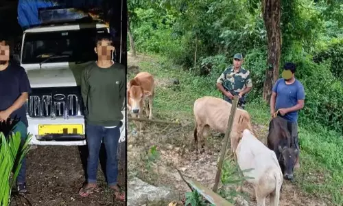Meghalaya : बीएसएफ ने तस्करी की कोशिश नाकाम की