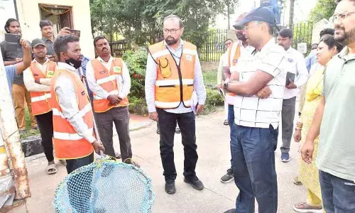 Hyderabad: आवारा कुत्तों के खतरे को रोकने के लिए सामूहिक नसबंदी का आदेश दिया Hyderabad: आवारा कुत्तों के खतरे को रोकने के लिए सामूहिक नसबंदी का आदेश दिया