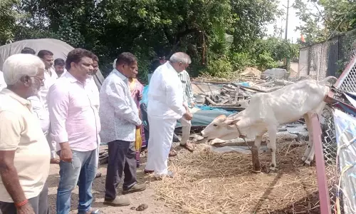 Andhra Pradesh: YSRC विधायक ने गौशाला में तोड़फोड़ की निंदा की