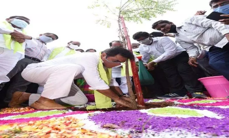 तेलंगाना सरकार ने Haritha Haram कार्यक्रम में धन के दुरुपयोग की जांच की