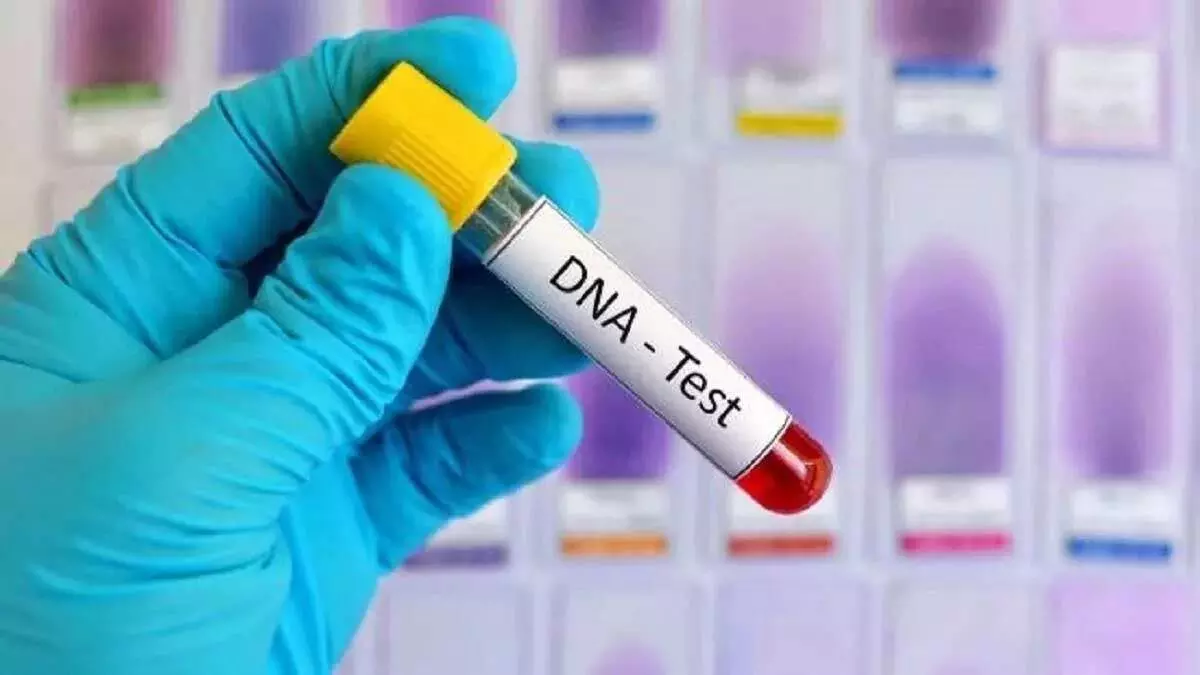 पत्नी के अवैध संबंध का शक, बेटों पर भी भड़के, बाप ने DNA टेस्‍ट की लगाई गुहार