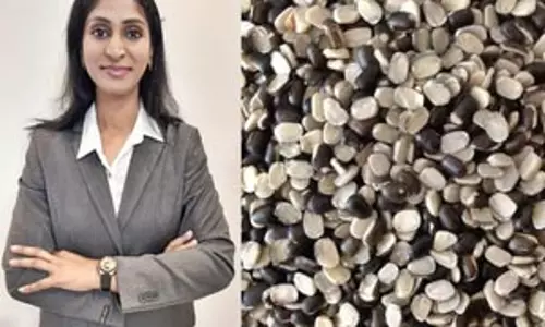 पाचन में सुधार के लिए फायदेमंद है उड़द की दाल
