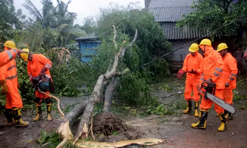 Odisha: ओडिशा अग्निशमन सेवा का ध्यान गिरे हुए पेड़ों पर Odisha: ओडिशा अग्निशमन सेवा का ध्यान गिरे हुए पेड़ों पर