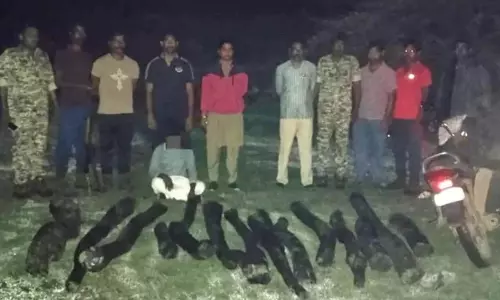 Andhra: 14 लाल चंदन की लकड़ियां जब्त, 1 हिरासत में Andhra: 14 लाल चंदन की लकड़ियां जब्त, 1 हिरासत में