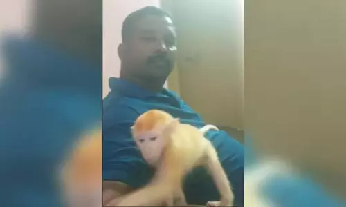 तमिलनाडु के पूर्व कांस्टेबल पर वन्यजीव तस्करी के लिए COFEPOSA के तहत मामला दर्ज तमिलनाडु के पूर्व कांस्टेबल पर वन्यजीव तस्करी के लिए COFEPOSA के तहत मामला दर्ज
