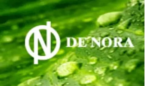 De Nora India Q2 परिणाम: लाभ में 48.33% की गिरावट
