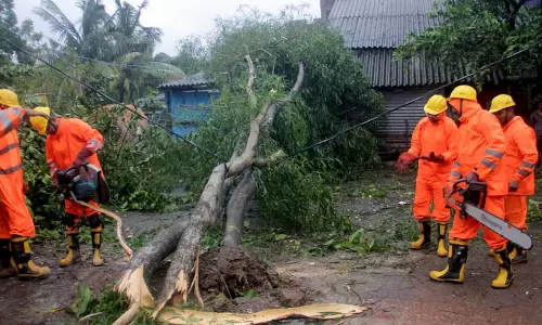 Odisha अग्निशमन सेवा का ध्यान गिरे हुए पेड़ों पर Odisha अग्निशमन सेवा का ध्यान गिरे हुए पेड़ों पर