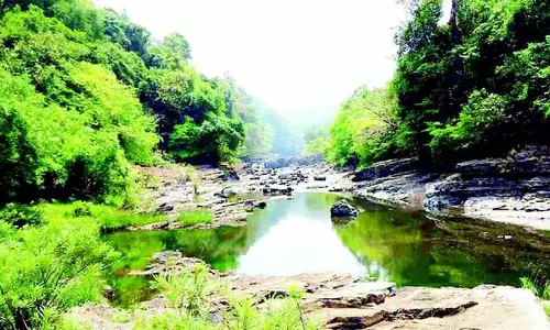 पर्यावरणविद् राजेंद्र केरकर ने कहा- Goa सरकार महादेई पर छुट्टी के मूड में