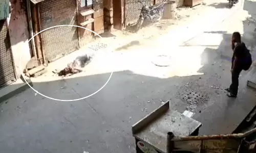 सुसाइड का LIVE वीडियो, बिल्डिंग से कूदी लड़की, मंजर देखकर कांप जाएगी रूह