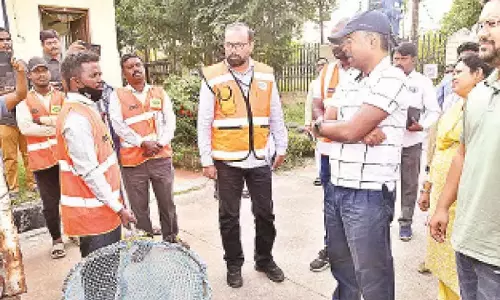 GHMC ने आवारा कुत्तों की समस्या से निपटने के लिए प्रयास तेज कर दिए GHMC ने आवारा कुत्तों की समस्या से निपटने के लिए प्रयास तेज कर दिए
