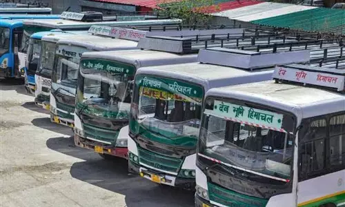 पथ परिवहन निगम Shimla से राज्य के कई हिस्सों के लिए विशेष बसें चलाएगा